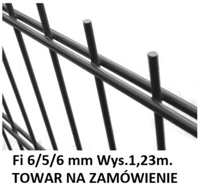 Panel Ocynk+Kolor Typ 2D H-1,23 m Fi 6/5/6 mm Standard